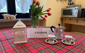 I Tulipani